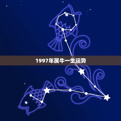 97年属牛|属牛1997的是什么命格 1997年出生一生的命运如何